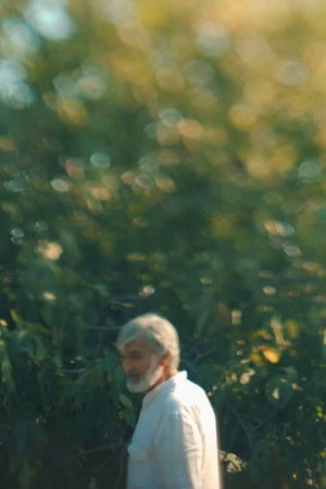 Bakılının gündəliyi - 3: Yadigar