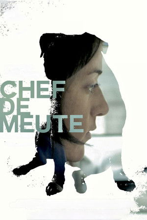 Chef de meute