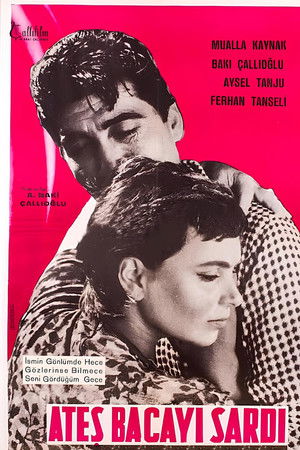 Ateş Bacayı Sardı