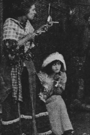 The Female Detective