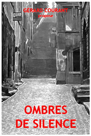 Ombres de silence