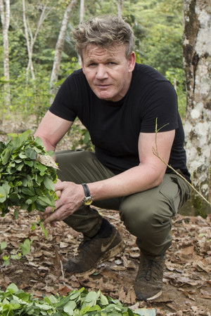 Gordon Ramsay on Cocaine