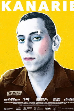 Kanarie
