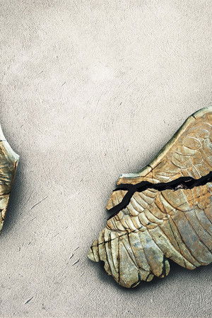 Cults and Extreme Belief