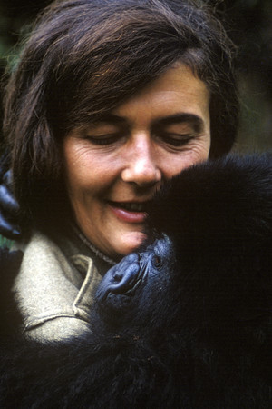 Dian Fossey: Secrets in the Mist