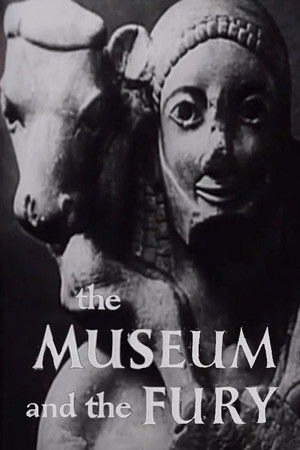 The Museum and the Fury