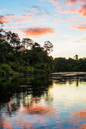 Earth's Great Rivers