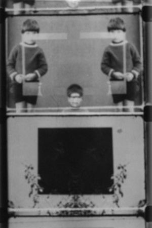 Figure instabili nella vegetazione