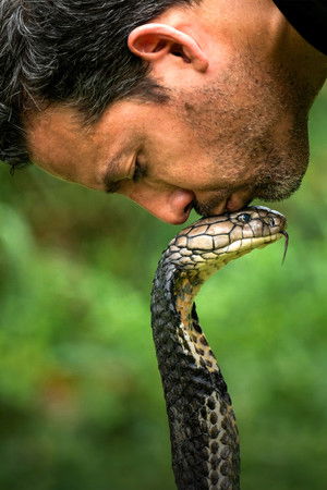 David Blaine Do Not Attempt