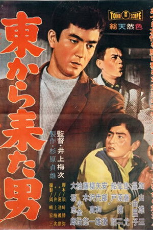 東から来た男