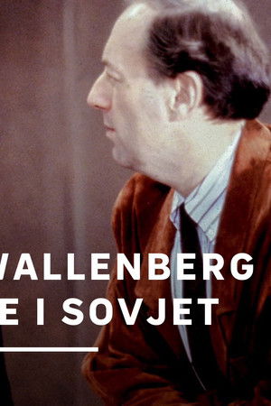 Raoul Wallenberg - fånge i Sovjet