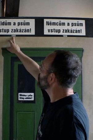 Česko-německé století