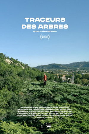 Traceurs des arbres