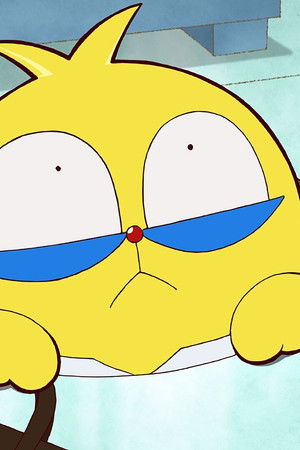 100%パスカル先生