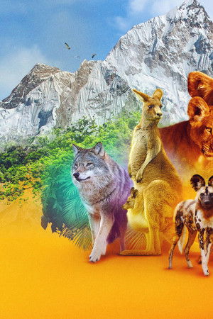 Hayvanların Sırları