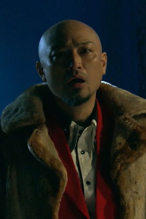 新・ミナミの帝王～美人詐欺師の罠～