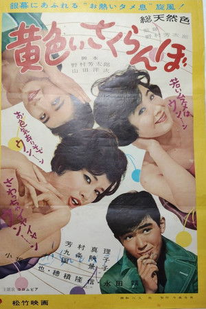 黄色いさくらんぼ