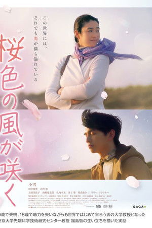 桜色の風が咲く