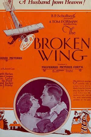 The Broken Wing
