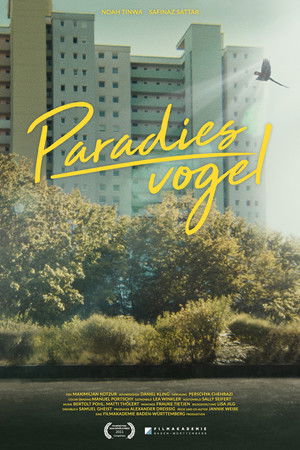 Paradiesvogel