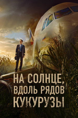 На солнце, вдоль рядов кукурузы