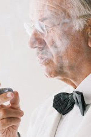 Die Manns - Ein Jahrhundertroman