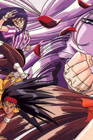 V.G.NEO THE ANIMATION