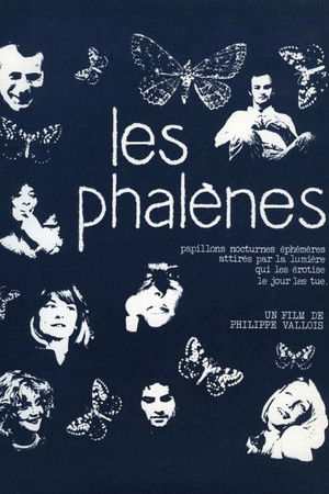 Les phalènes