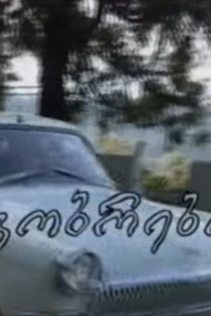 ეჰ, მეგობრებო ...