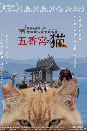 五香宮の猫