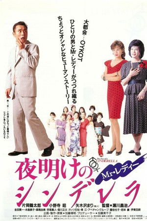 Mr.レディー 夜明けのシンデレラ
