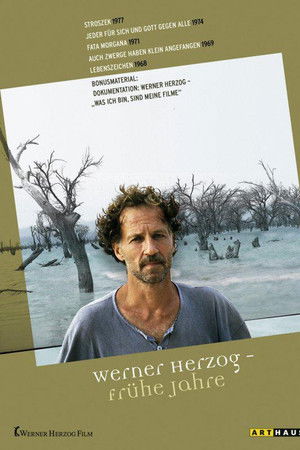 Was ich bin sind meine Filme - Teil 2... nach 30 Jahren