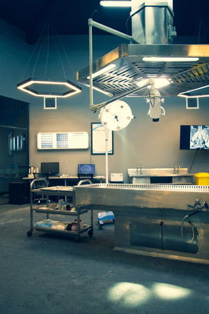 法医秦明之幸存者