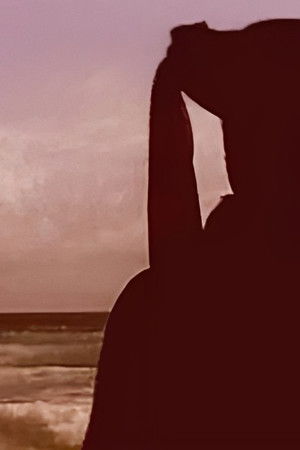 Por Mares Nunca Dantes Navegados