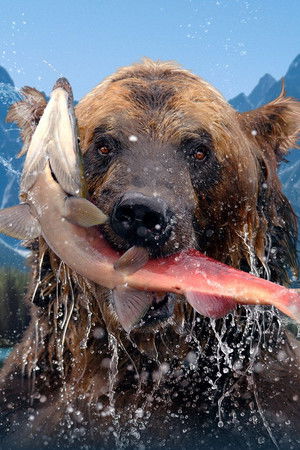 The Hungry Games: Alaska's Big Bear Challenge