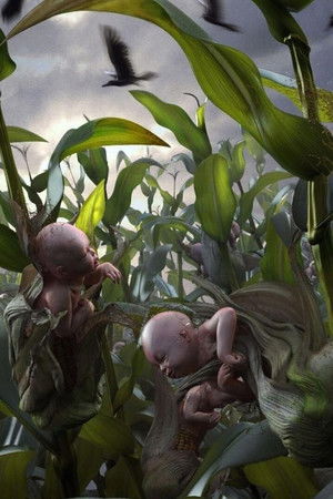 Mısır Çocukları 6