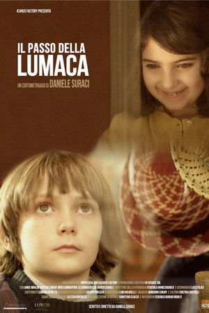 Il passo della lumaca