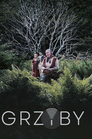 Grzyby