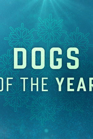 Dogs of the Year