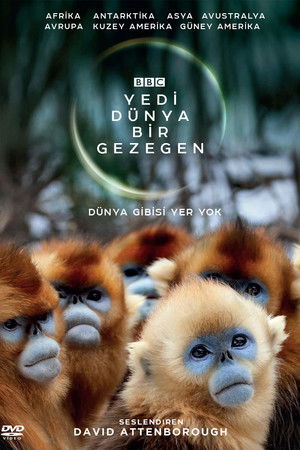 Yedi Dünya, Bir Gezegen
