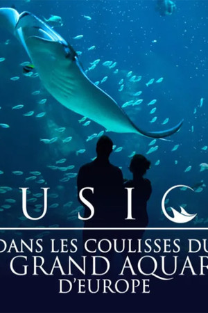 Nausicaá : Dans les coulisses du plus grand aquarium d'Europe