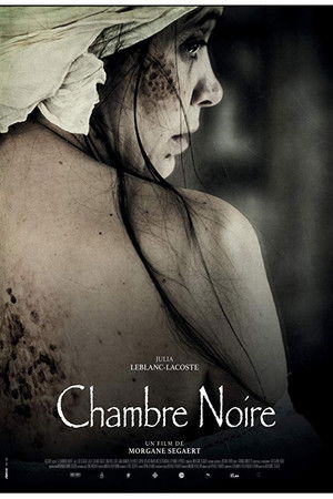 La chambre noire