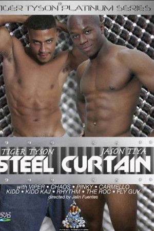 Steel Curtain