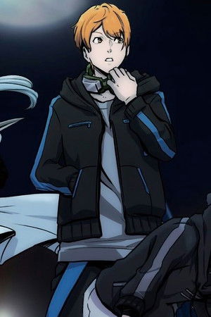 忍者コレクション