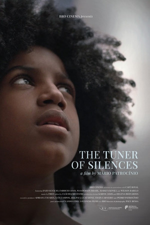 O Afinador de Silêncios
