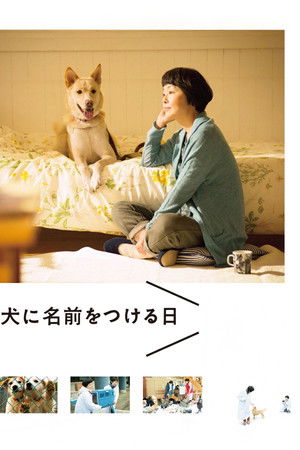 犬に名前をつける日