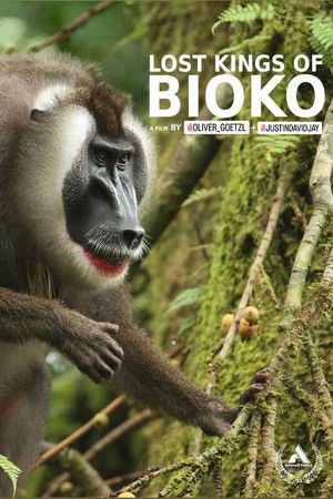 Lost Kings of Bioko