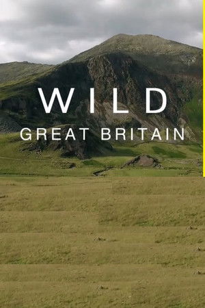 Wild Great Britain