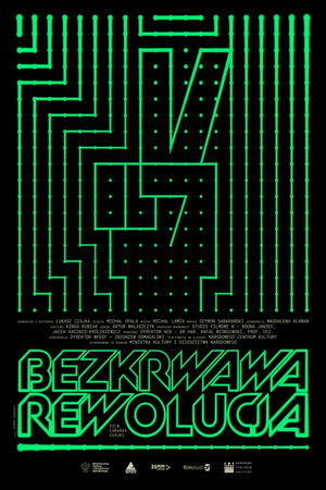 Bezkrwawa rewolucja. Krótka historia internetu w Polsce