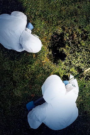 Buried In The Backyard